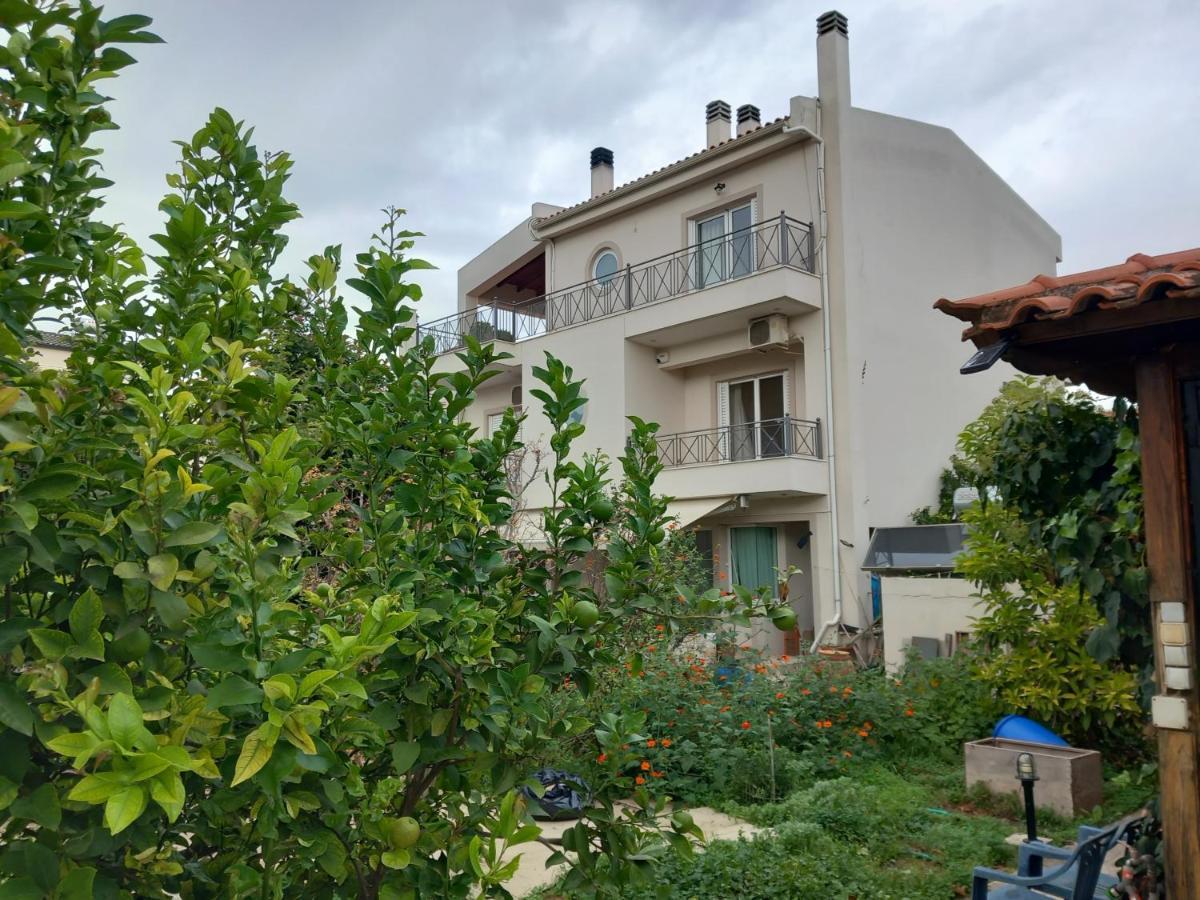 Apartment Pavlosloft *