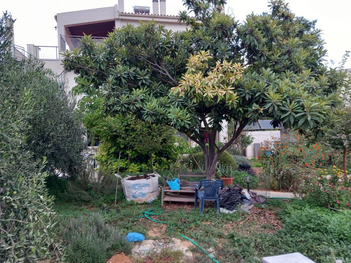 Pavlosloft Apartament *
