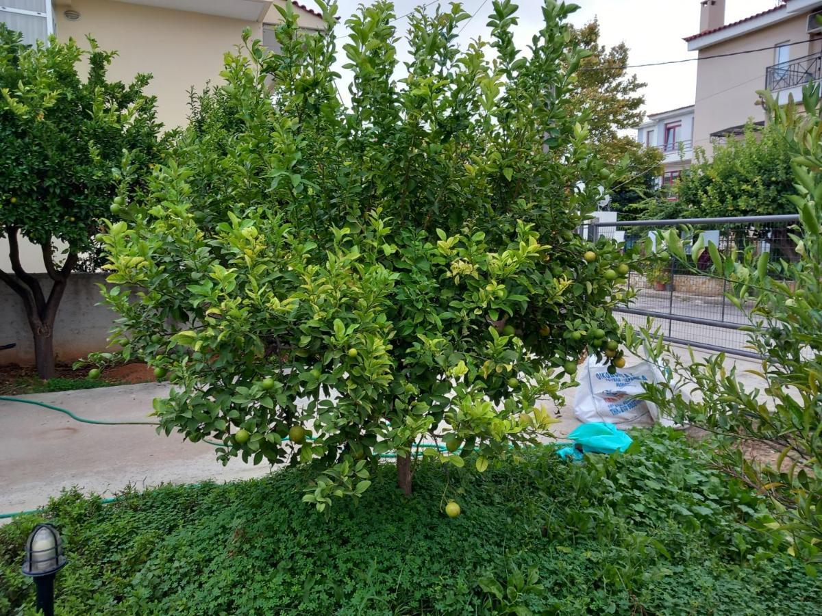 Pavlosloft Apartament *