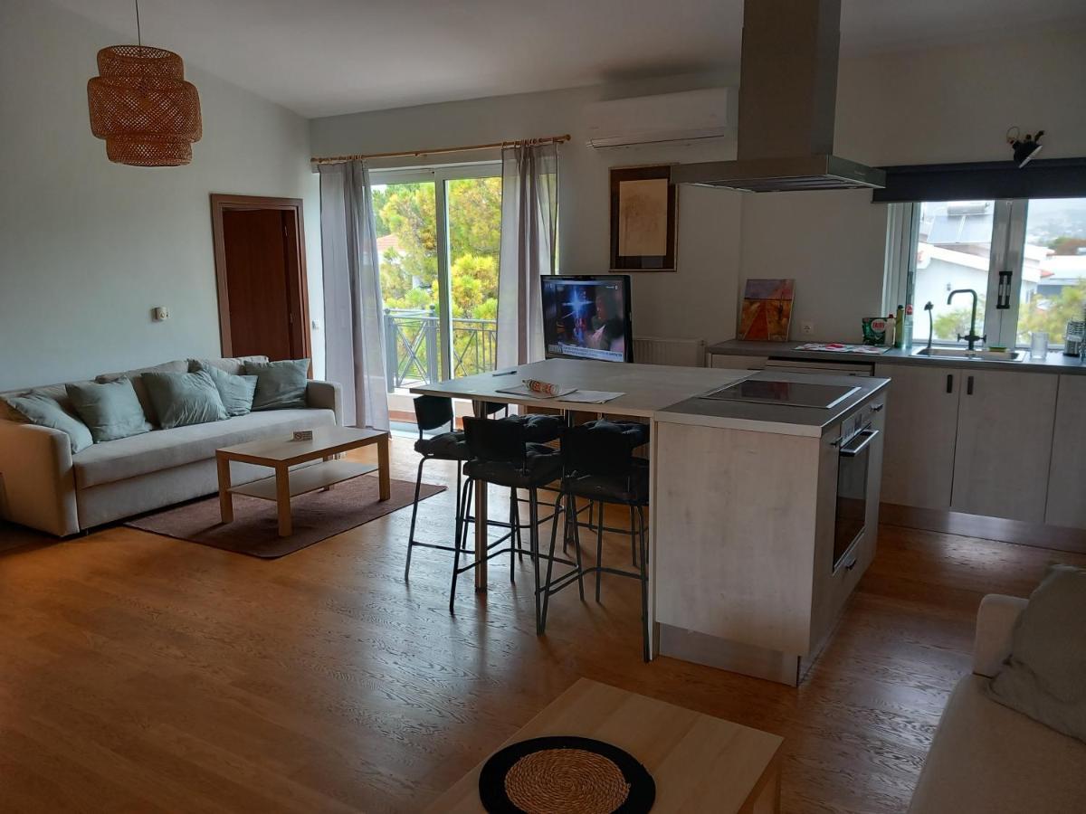 Pavlosloft Apartment Leontari (Attica)