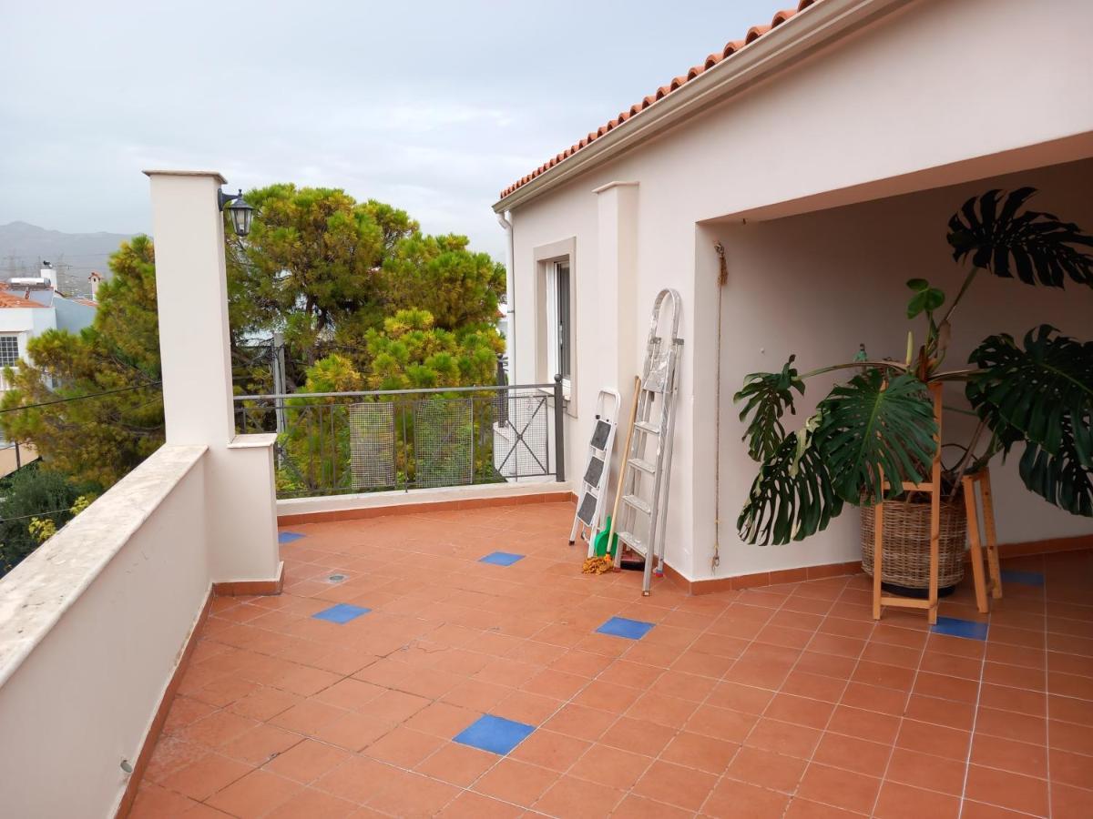 Pavlosloft Apartament